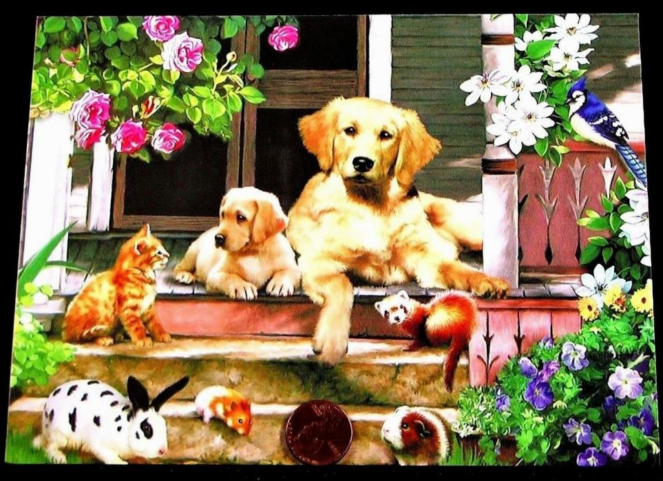 Puppy Dogs Kitten Cat Ferret Bunny Guinea Pig Porch - Birthday Greeting Card NEW