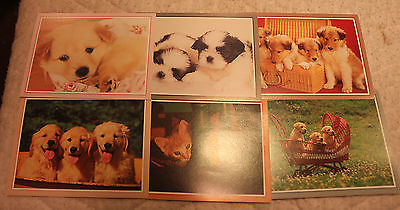 DISABLED PARALYZED AMERICAN VETERANS BLANK DOGS GREETING CARDS ENVELOPES LOT  8