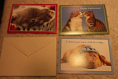 ASSORTED VARIOUS HUMANE SOCIETY GREETING CARDS & ENVELOPES LOT 3