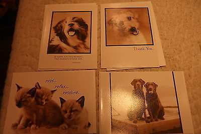 ASSORTED VARIOUS NORTH SHORE ANIMAL LEAGUE GREETING CARDS & ENVELOPES LOT 4