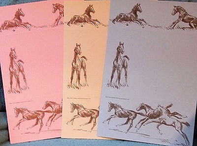 FOAL TIME Colored Notes- by Sam Savitt  - BEST OFFER