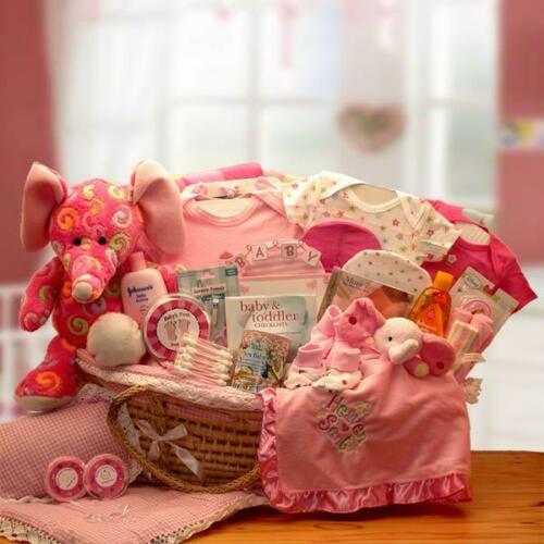 Precious Petals Deluxe baby gift  Moses Carrier - Pink