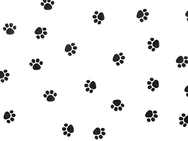 3 Rolls Animal Cat Dog Paw Print 40x100' CELLOPHANE Gift Baskets Florist Wrap