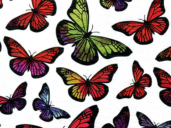 Monarch Tissue Paper 240 ~ 20