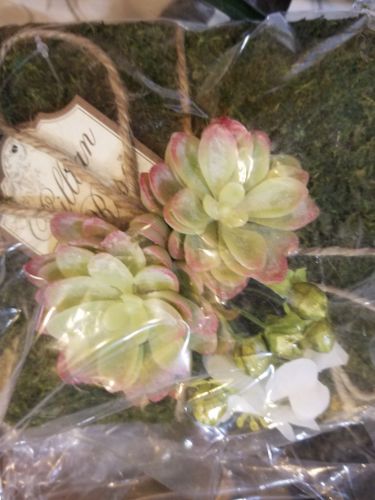 moss ring pillow by Lillian Rose RP600, Rustic Ring Pillow, Bridal, Wedding