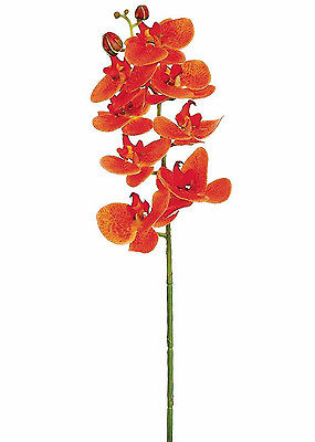 Orange Phalaenopsis Orchids Real Touch Silk Wedding Flowers Bouquet Centerpieces