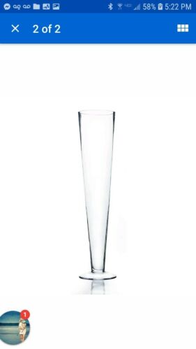 6 Tall Clear Glass Vase  Pilsner 24in high 5 in wide