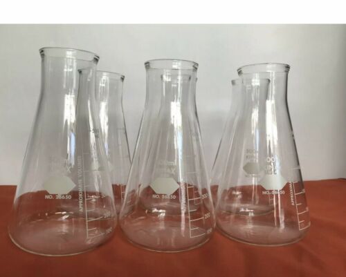 Big Bang Theory Science Chemistry Wedding Conical Flask 500ml Kimax Set Of 6