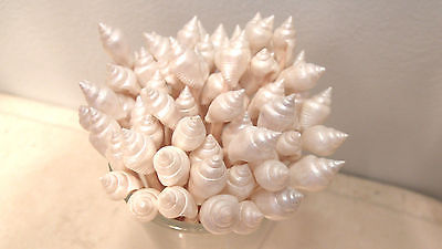 25 SEASHELL TOOTHPICKS White Pearl Party Picks Shell Beach Wedding Mix Cocktail