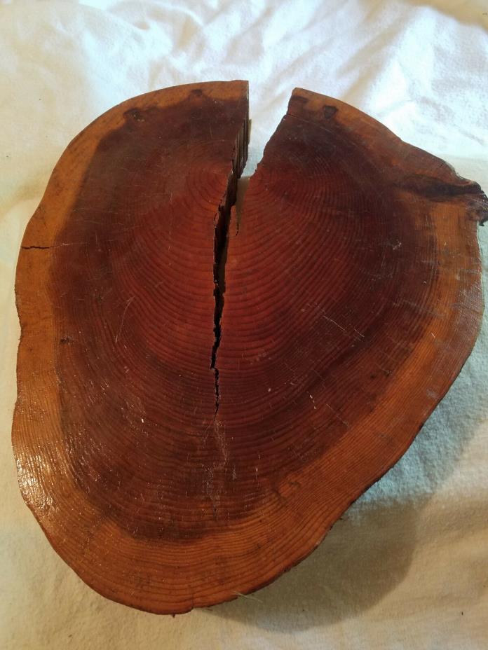 21x18 GIANT Redwood Slab Rustic Cake Stand Table centerpiece Wedding Display