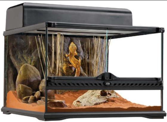 Large Glass Terrariums - 18