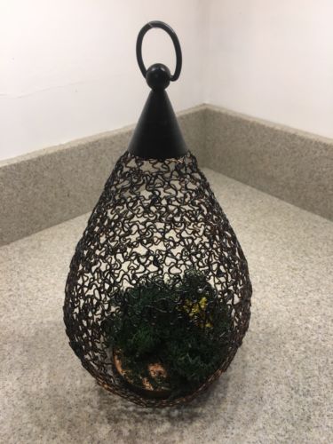 Wire Plant Terrarium Hanging