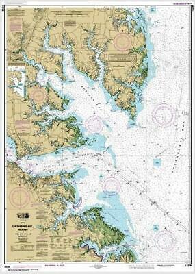 MOBJACK BAY, YORK RIVER.  24