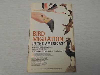 1979  MAP OF BIRD MIGRATION IN THE AMERICAS  NATIONAL GEOGRAPHIC (58)