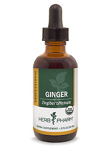 Herb Pharm Professional, Pro-Ginger 2 fl oz