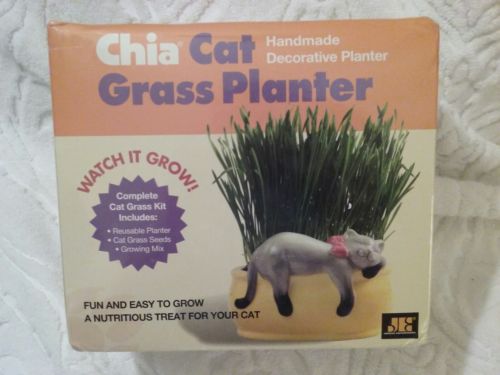 Chia cat grass planter
