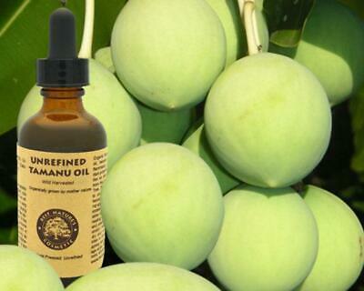 Virgin Tamanu Oil (organic, undiluted, unrefined)