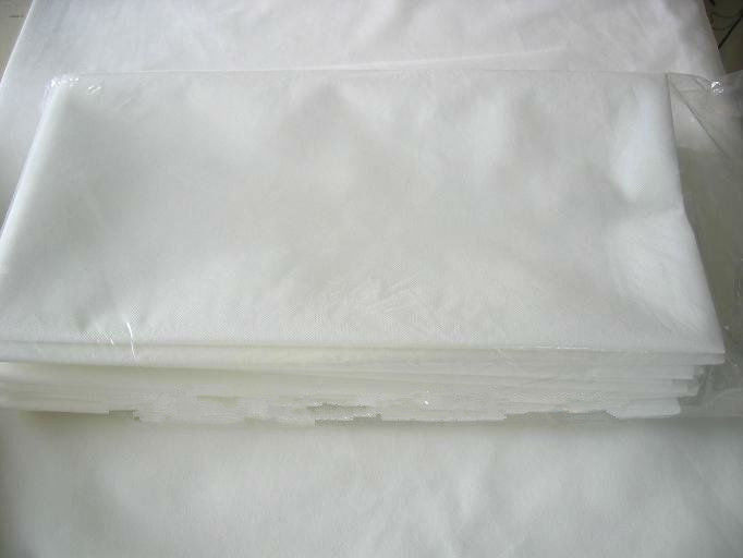 Disposable Waterproof Facial Massage Bed Liner Sheet - 10 pcs