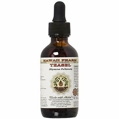 Teasel Alcohol-FREE Liquid Extract, (Dipsacus Fullonum) Dried Root Glycerite 2 
