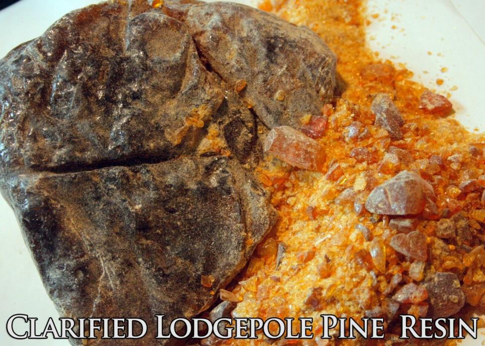 4oz CLARIFIED Lodgepole Pine Resin: Raw Organic Wildcrafted Pitch Sap