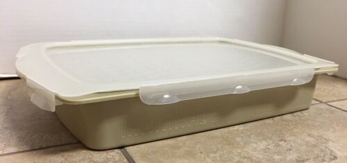Large Preowned Marinade Season Serve Covered Container