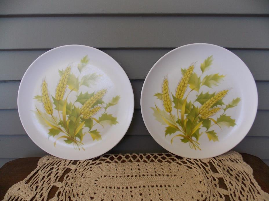 Set of 2 Vintage Melamine Melmac Picnic Dinner Plates with Wheat Design