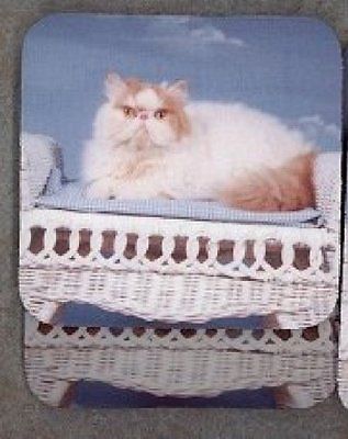 Red and White PERSIAN CAT Rubber Backed Coasters #0666