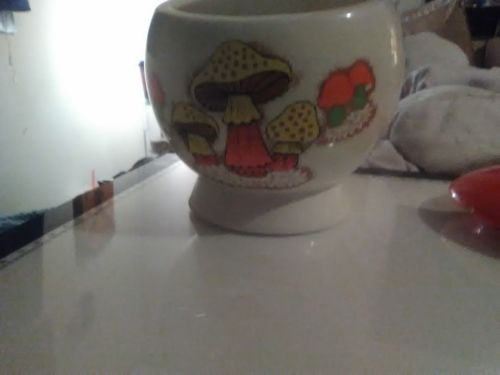 Vintage Mushroom Jar