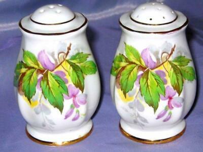Royal Standard LAVENDER WISTERIA Floral Salt & Pepper Shakers Bone China England