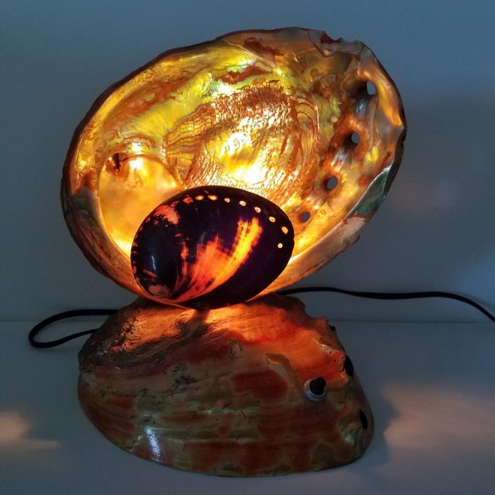 Seashell TV Lamp Light Abalone Vintage 60s Beach Decor Sea Shell Collectible
