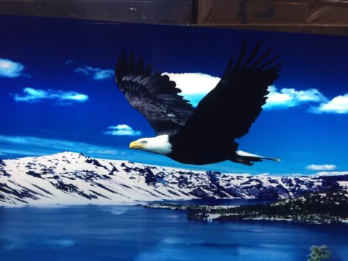 Lighted Glass Picture American bald eagle over water