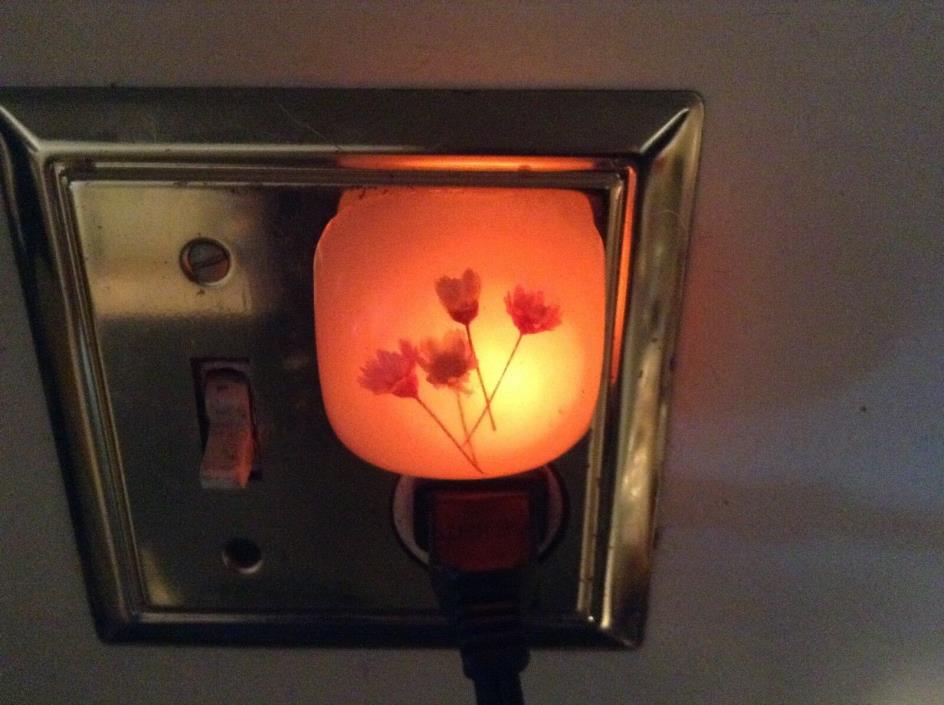 Vintage lucite resin acrylic flower outlet plug in night light floral