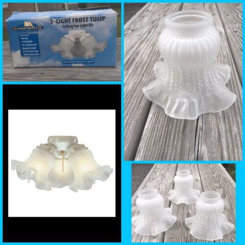 3-Light Frost Tulip Ceiling Fan Light Kit