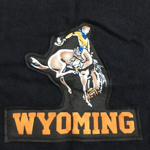 Vintage WYOMING Cowboy Stadium Blanket Brown Wool Pendleton Fringed 70 X 53