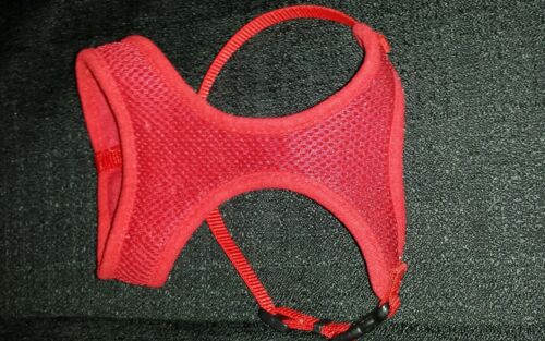 XX Small Neck Red Dog Harness adjustible good condition