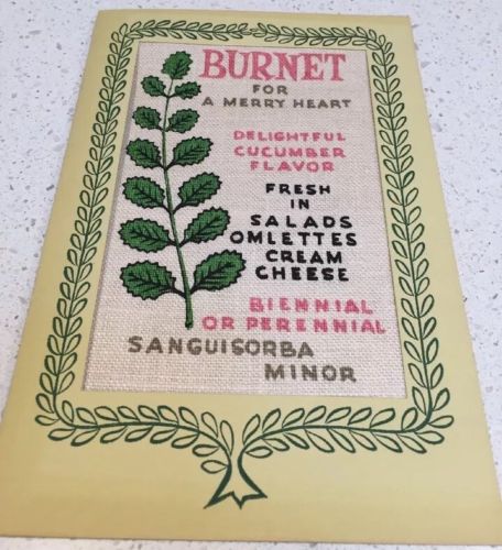 Vintage Linen Robert Darr Wert Folk Country Herbs Salad Burnet Sanguisorba Minor