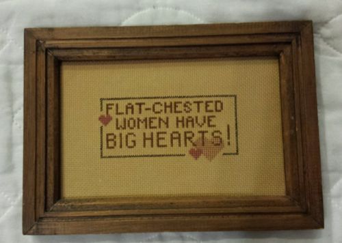Cross Stitch Sampler Flat Chested Women Have Big Hearts Joke Funny Gift Vintage