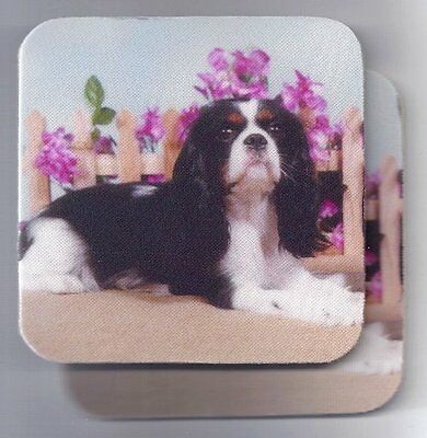 CAVALIER KING CHARLES SPANIEL Rubber Backed Coasters #1051