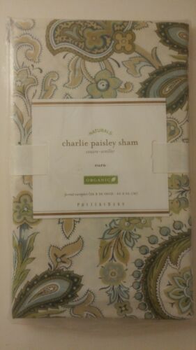 Pottery Barn Charlie Paisley Euro Pillow Cover