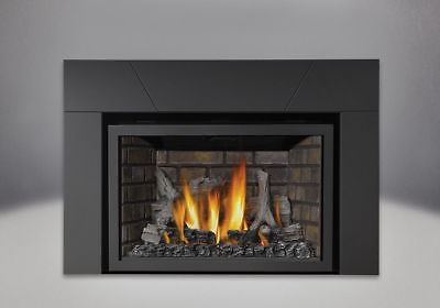 Napoleon Large Infrared XIR4 Gas Fireplace Insert 40,000 btu