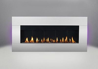 Napoleon WHD48 Plazmafire Wall Mount Hanging Fireplace Direct V SS Package Deal