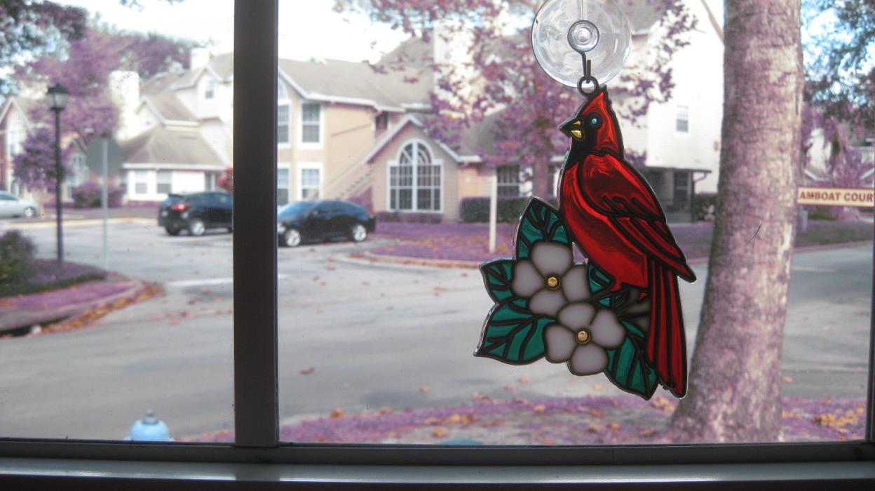 Sun Catcher Cardinal Bird Dogwood Flowers Stained Glass Plastic Brand New