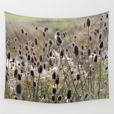 Wall Tapestry - Art Photo 51x60 / Wild Teasel / Large Wall Art Wall Hanging