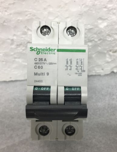 Schneider Electric 24453 2P IEC Supplementary Protector 25A