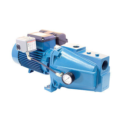 Pearl JCCH 20C16D Above Ground 2HP 230V 10.6A Shallow Well Jet Pumps-Cast Iron W