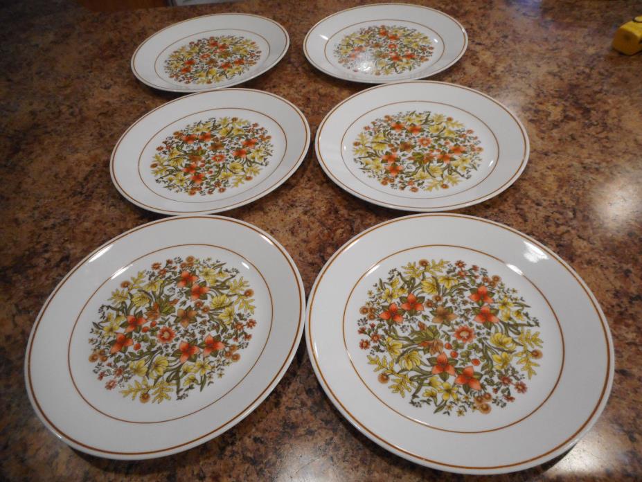 Vintage 1960s 0r 1970s Corelle 