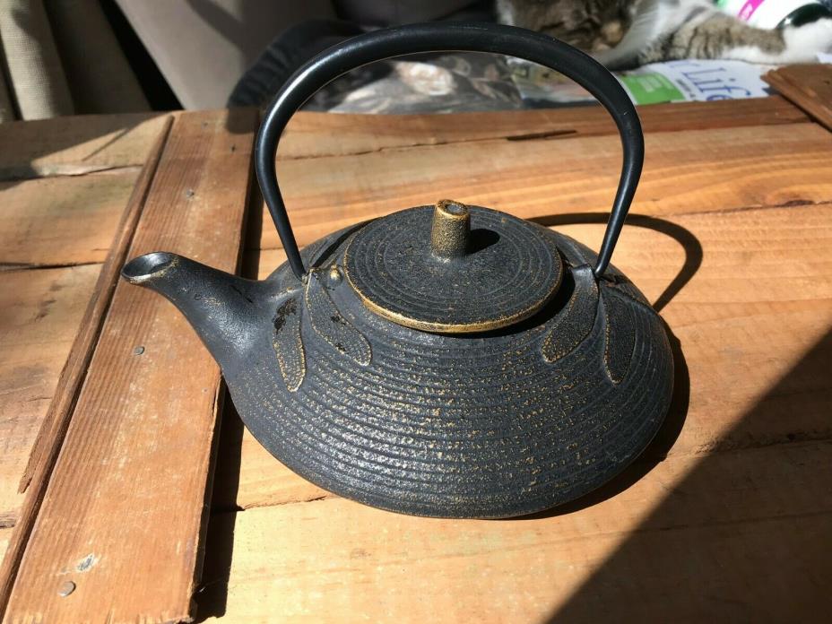 Japanese Iron Tetsubin Teapot, Dragonfly, Gold and Black 16 oz
