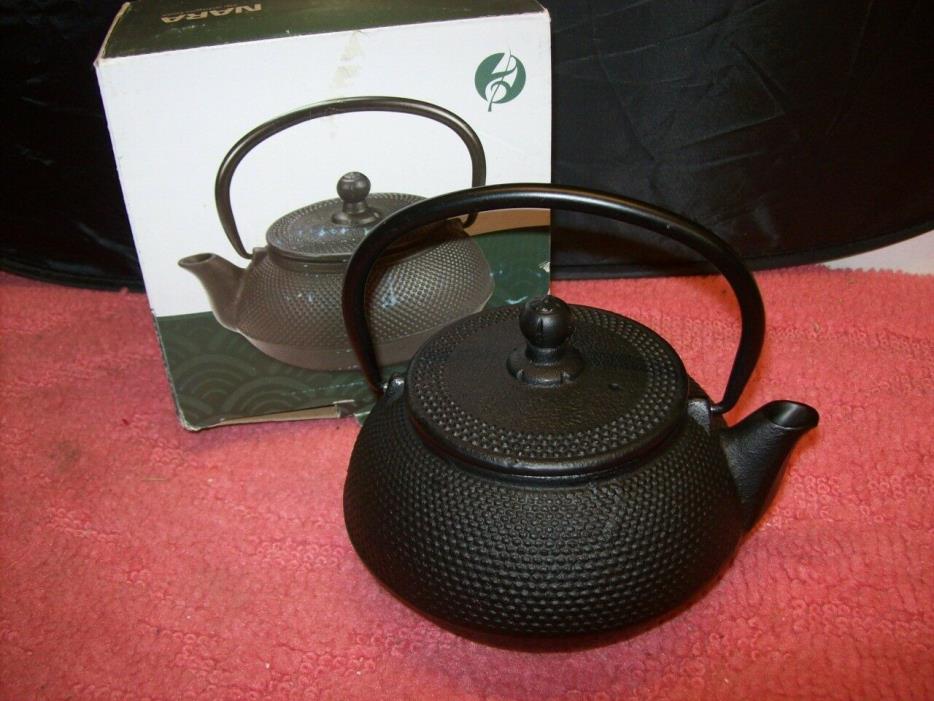 Adagio Teas 20 oz. Nara Cast Iron Teapot with Stainless Steel Infuser, Black,New