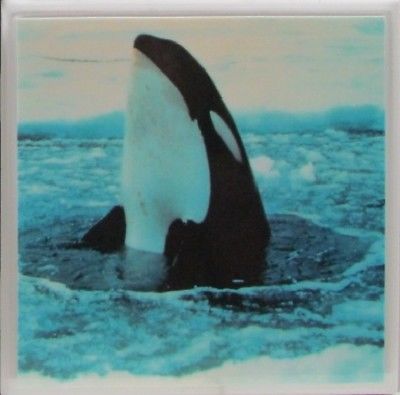 Set of 4 - Natural Stone Ceramic Tile Marble Drink Coasters  - Orca's 2 B