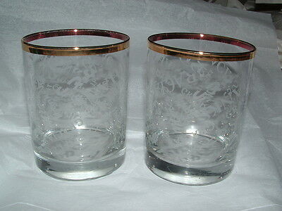 2 Drinking Glasses Printed Frosted 